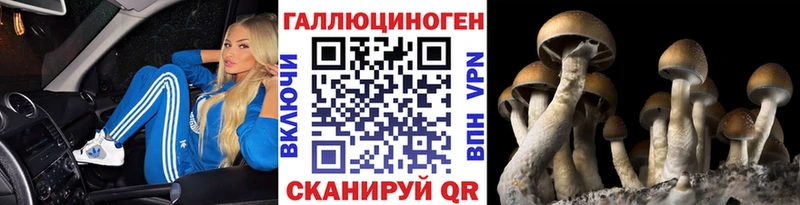 Галлюциногенные грибы MAGIC MUSHROOMS  Циолковский 